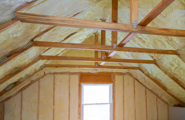 Best Cellulose Insulation  in Lakeside Park, KY